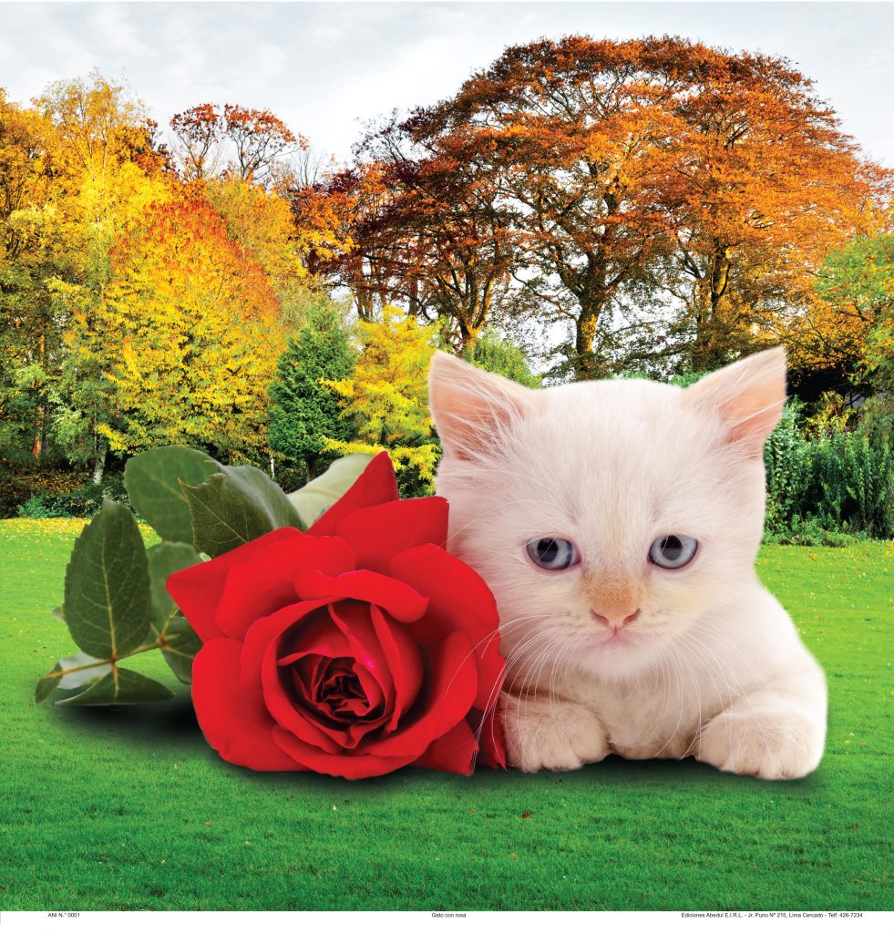 Almanaques calendarios publicitarios ABedul Ediciones Peru moreno navarrete Cromo B A