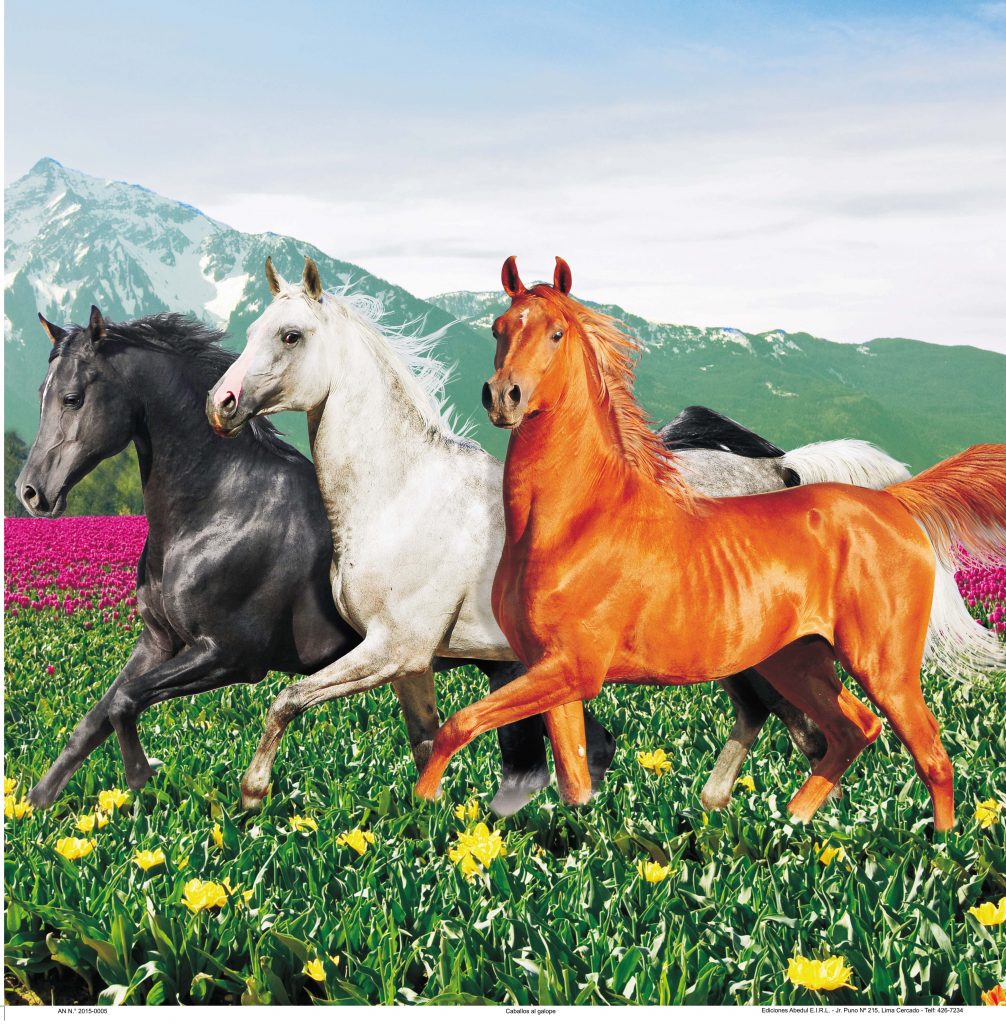 Almanaques calendarios publicitarios ABedul Ediciones Peru moreno navarrete Cromo B A