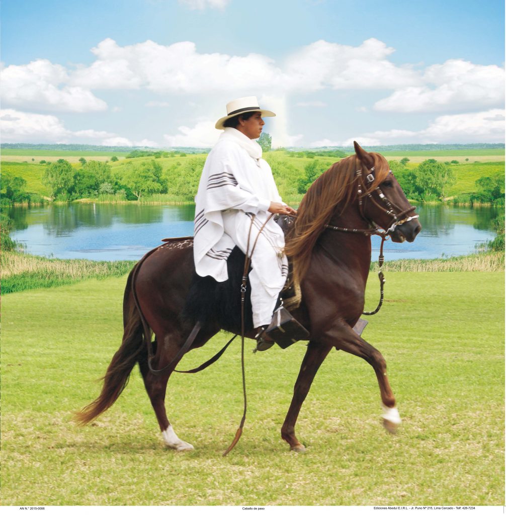 Almanaques calendarios publicitarios ABedul Ediciones Peru moreno navarrete Cromo B A