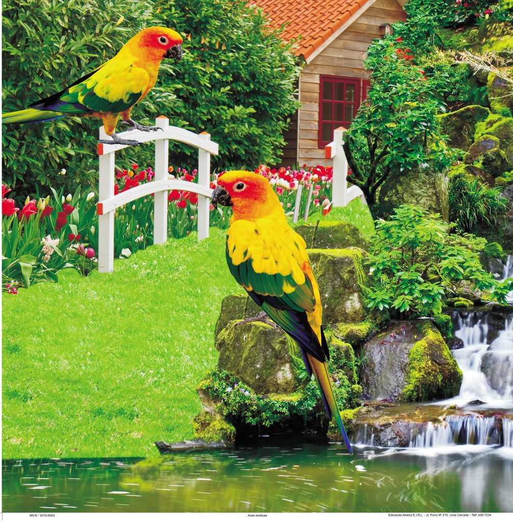 Almanaques calendarios publicitarios ABedul Ediciones Peru moreno navarrete Cromo B A