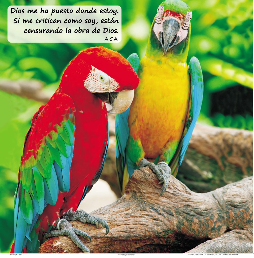Almanaques calendarios publicitarios ABedul Ediciones Peru moreno navarrete Cromo B A